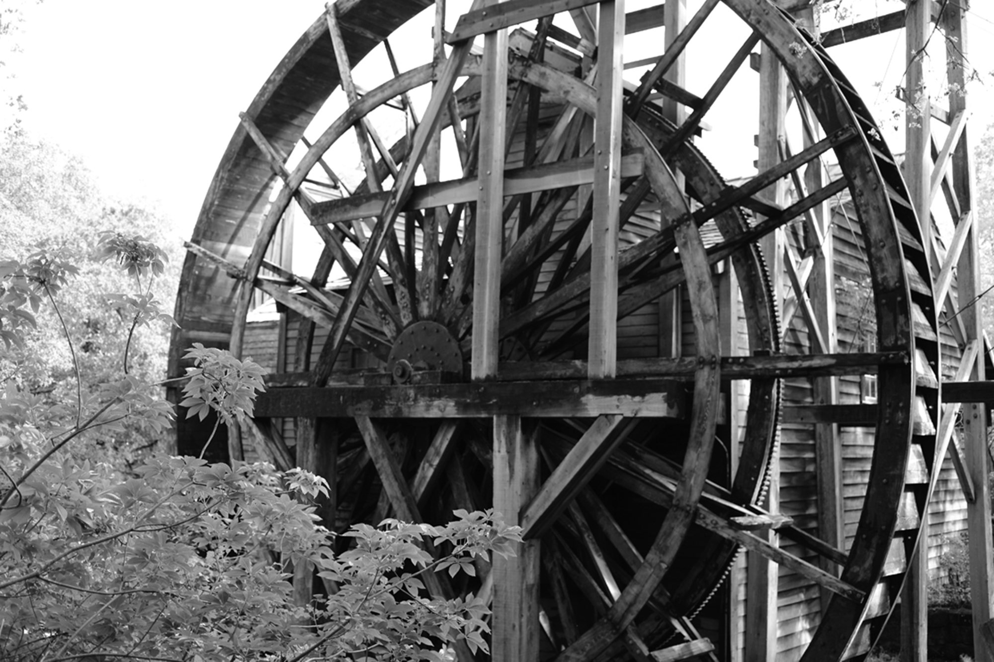 Old Mill 3 by Rich J. Velasco
