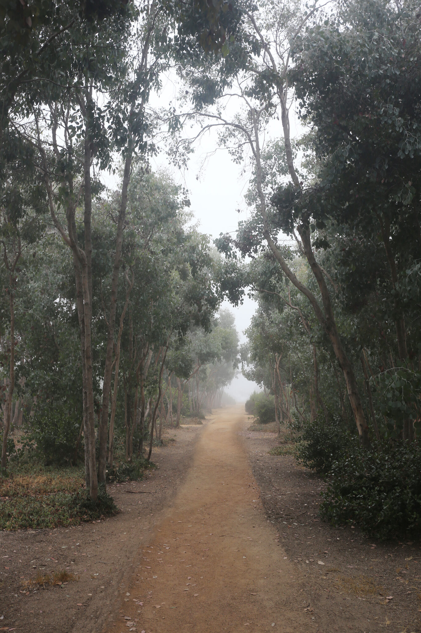 Paths of Righteousness by Rich Velasco