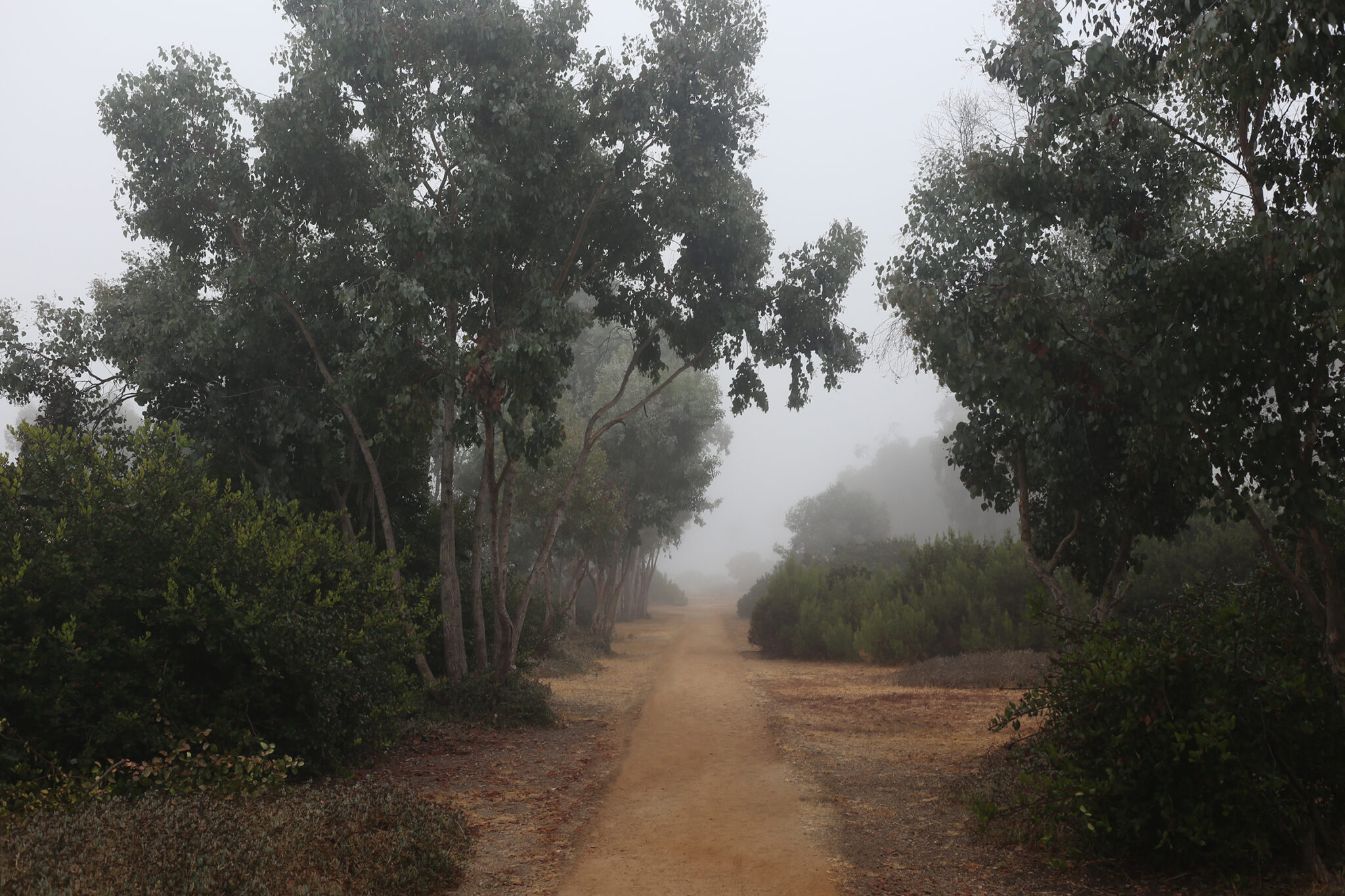 Paths of Righteousness No 2 by Rich Velasco